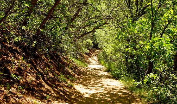 Diamond Fork Canyon Hiking Path