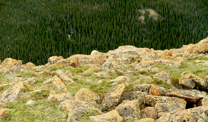Rocky Mountain National Park Tundra Treeline